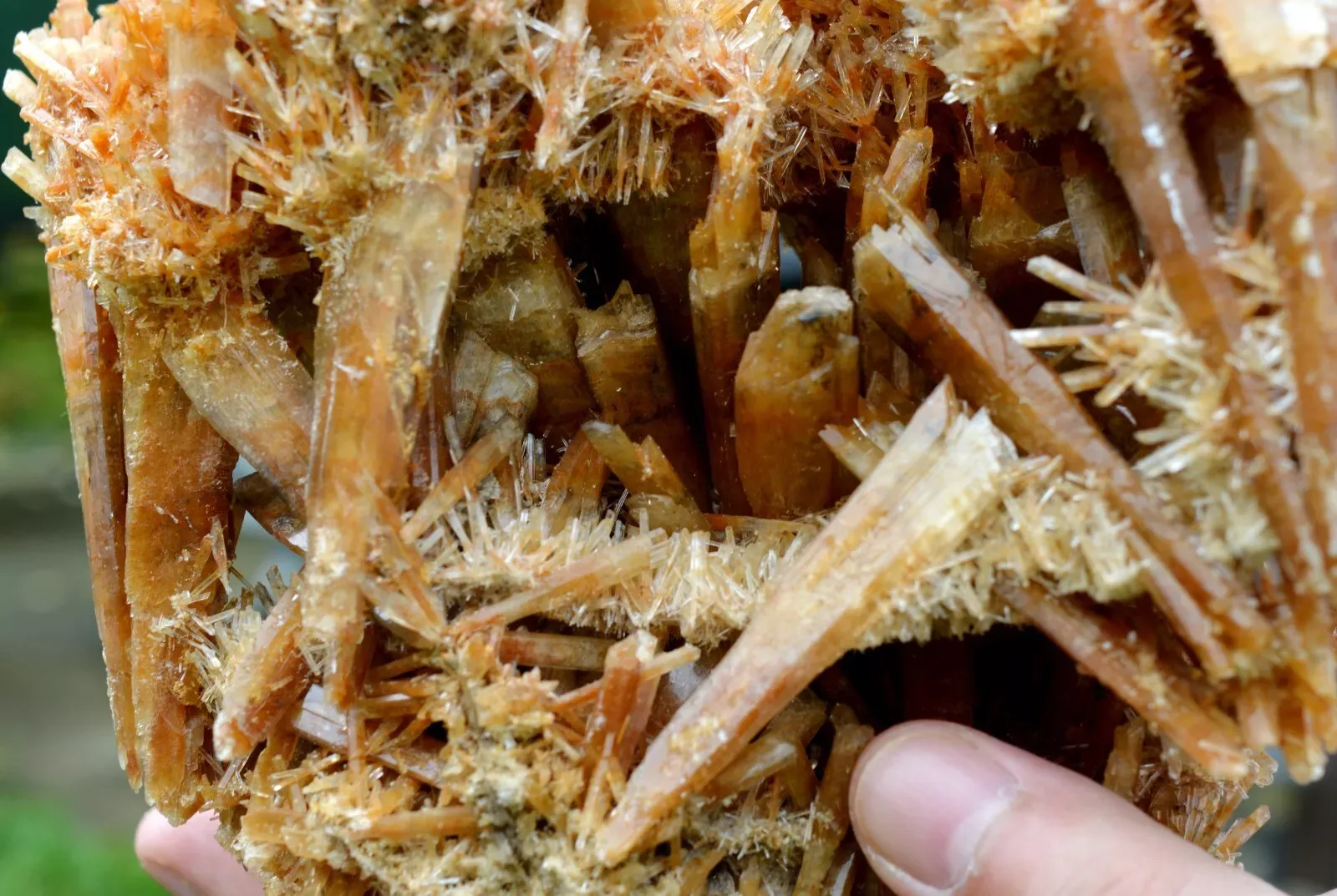 Gypsum 1235 grams - Pernatty Lagoon, Pernatty,  South Australia, Australia - image 9