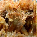 Gypsum 1235 grams - Pernatty Lagoon, Pernatty,  South Australia, Australia - image 5