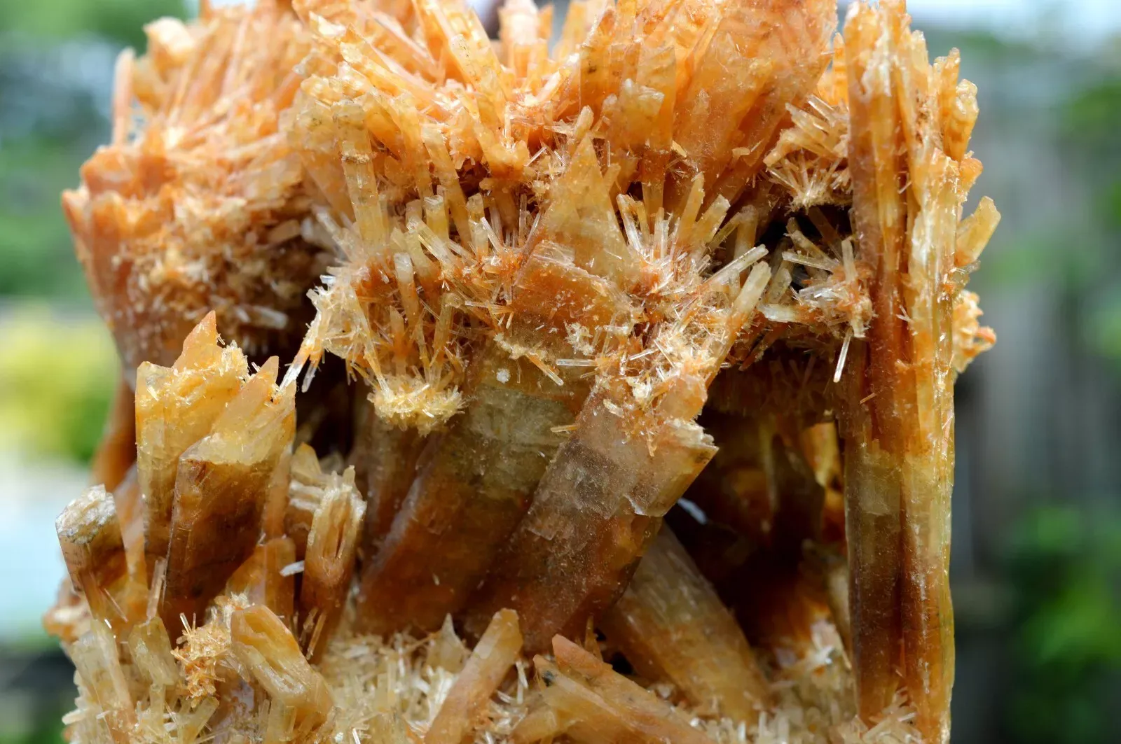 Gypsum 1235 grams - Pernatty Lagoon, Pernatty,  South Australia, Australia - image 5