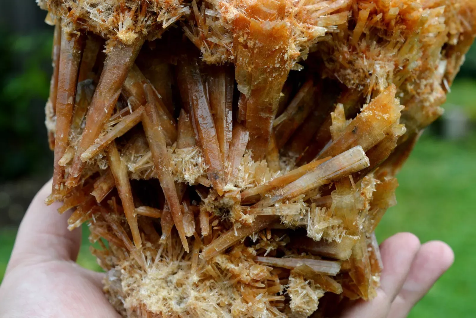 Gypsum 1235 grams - Pernatty Lagoon, Pernatty,  South Australia, Australia - image 3
