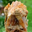 Gypsum 1235 grams - Pernatty Lagoon, Pernatty,  South Australia, Australia - image 10