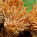 Gypsum 1235 grams - Pernatty Lagoon, Pernatty,  South Australia, Australia - image 2