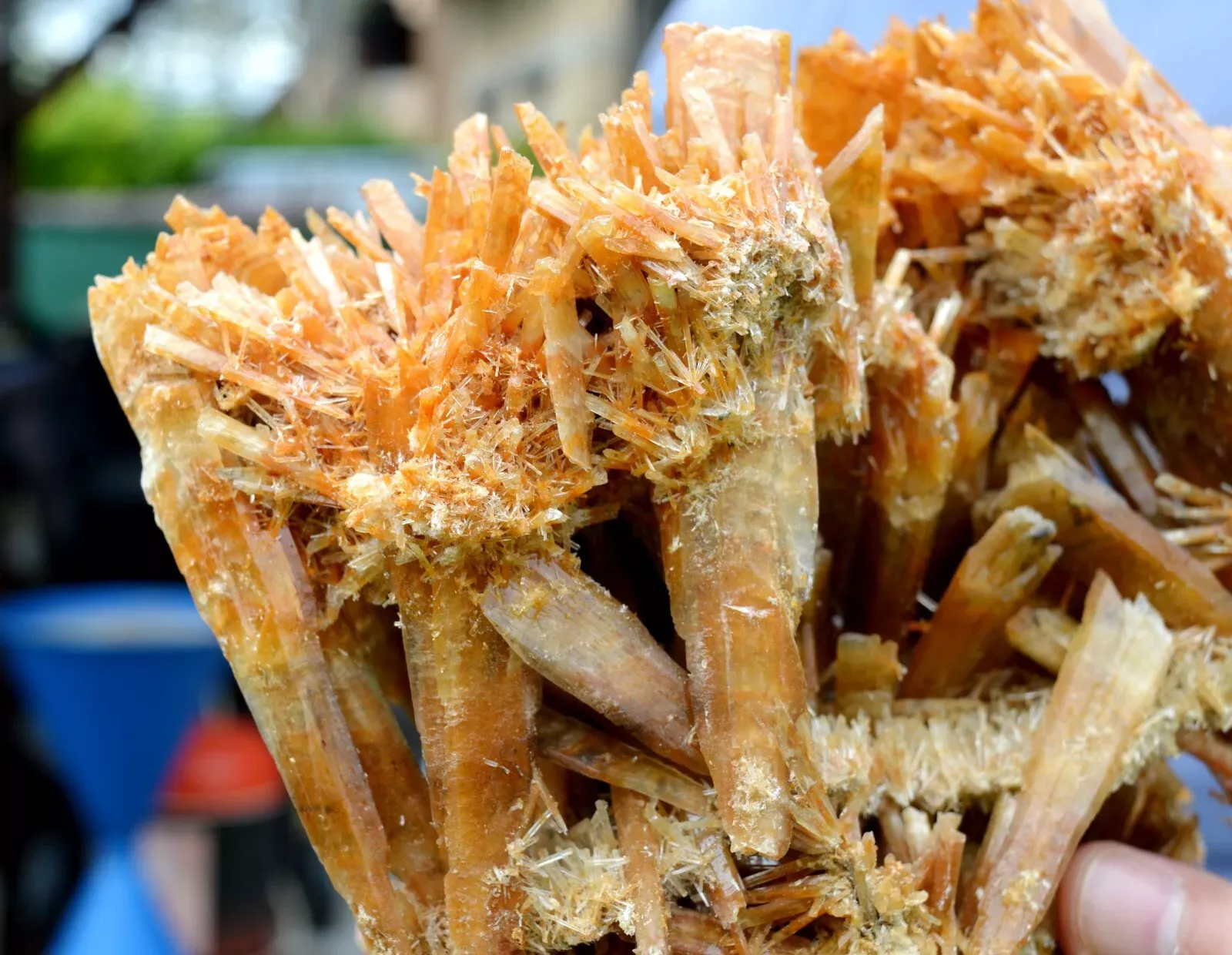 Gypsum 1235 grams - Pernatty Lagoon, Pernatty,  South Australia, Australia - image 7
