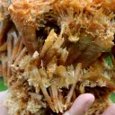 Gypsum 1235 grams - Pernatty Lagoon, Pernatty,  South Australia, Australia - image 4