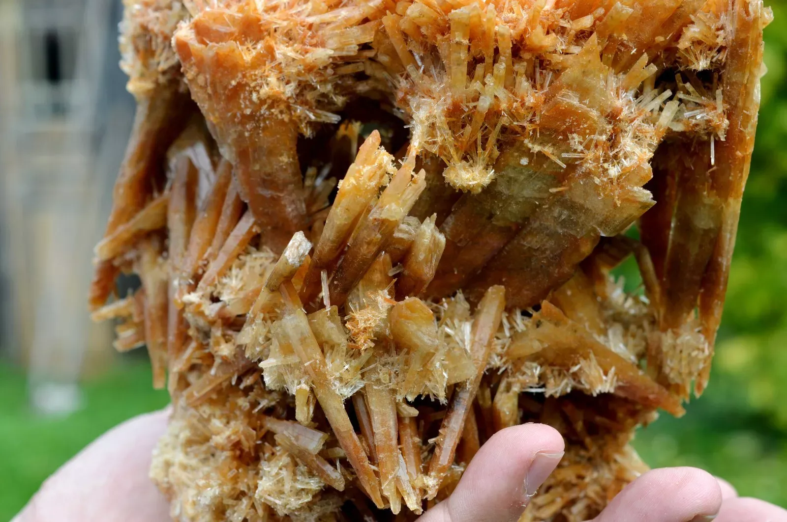 Gypsum 1235 grams - Pernatty Lagoon, Pernatty,  South Australia, Australia - image 4