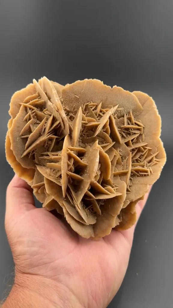 Gypsum image