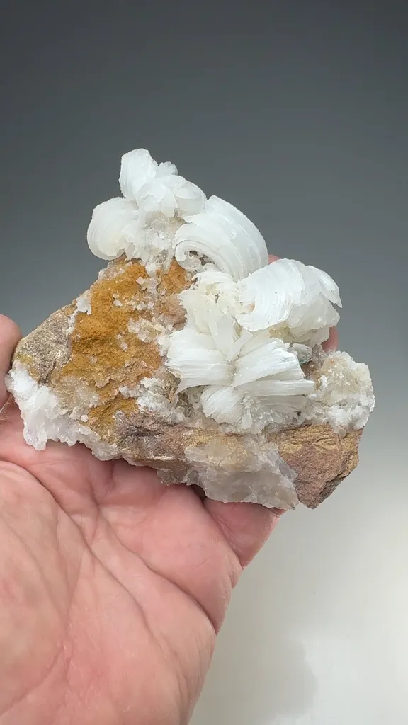 Gypsum - image 2