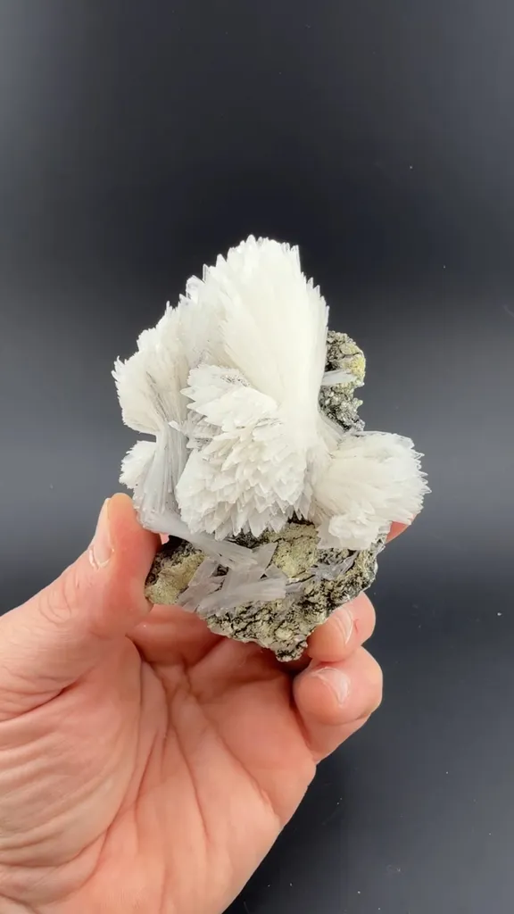 Gypsum image