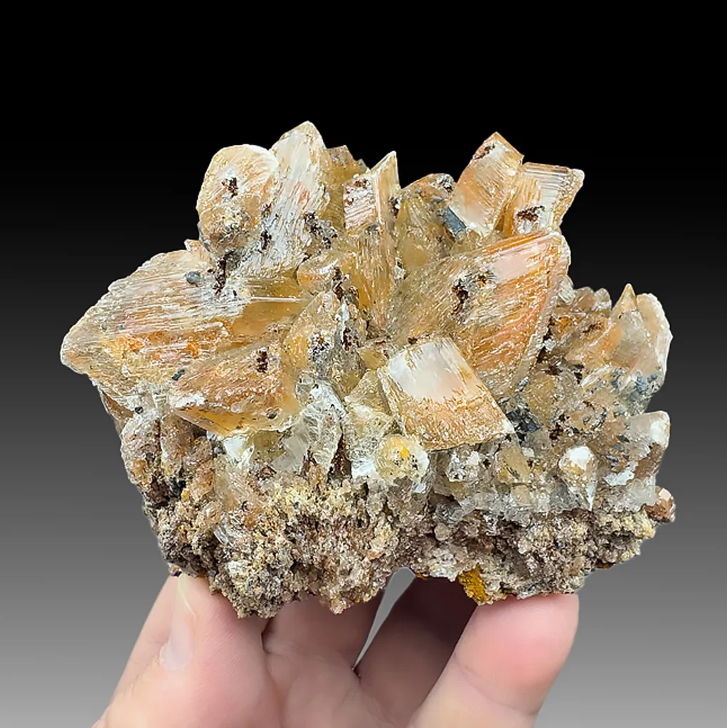Gypsum image