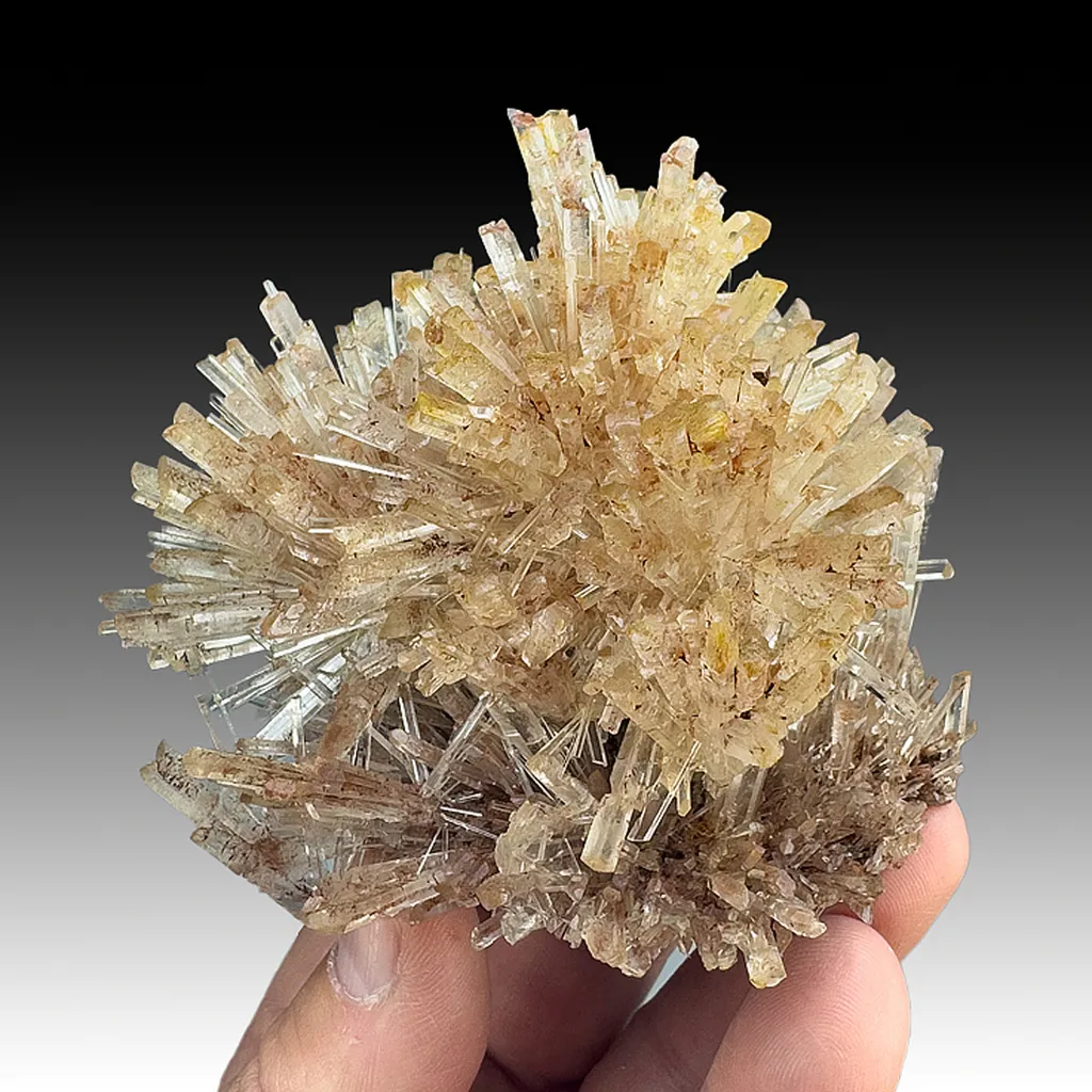 Gypsum image
