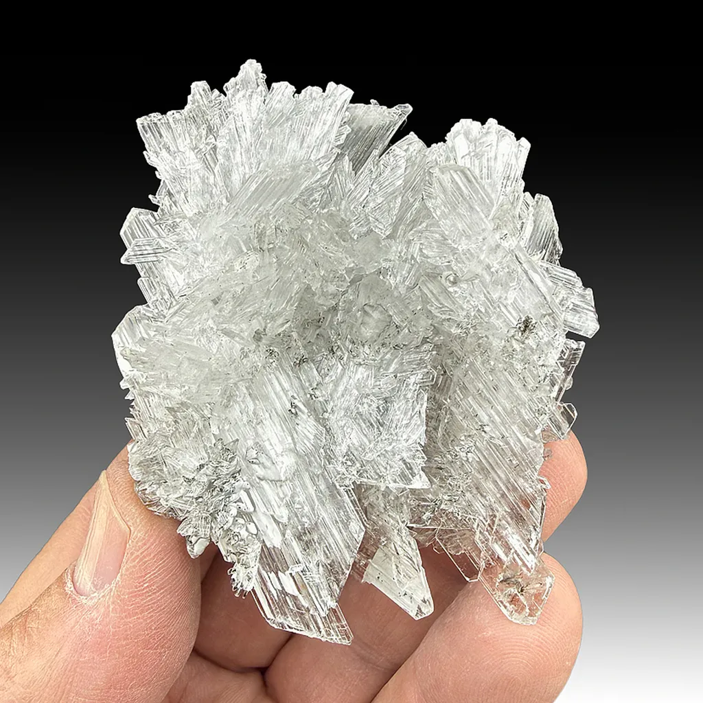 Gypsum image