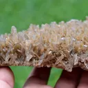 Gypsum 445 grams - Gmunden District, Upper Austria, Austria - image 7