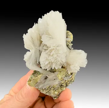 Gypsum