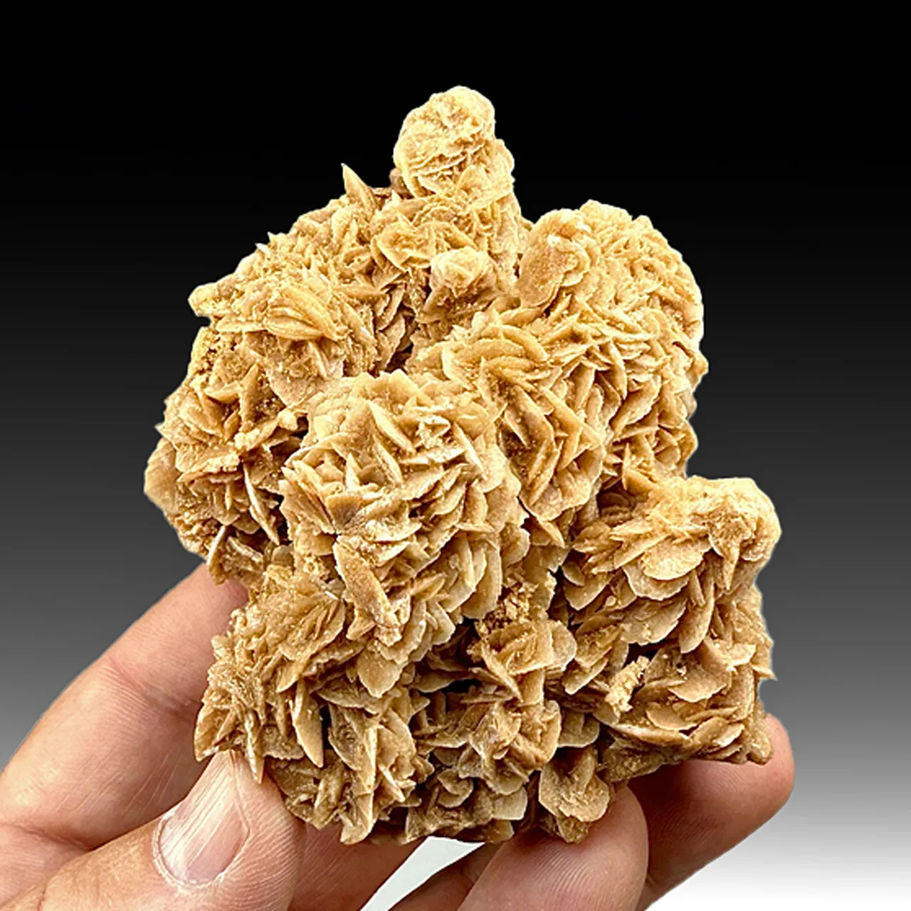 Gypsum (642) - image 1