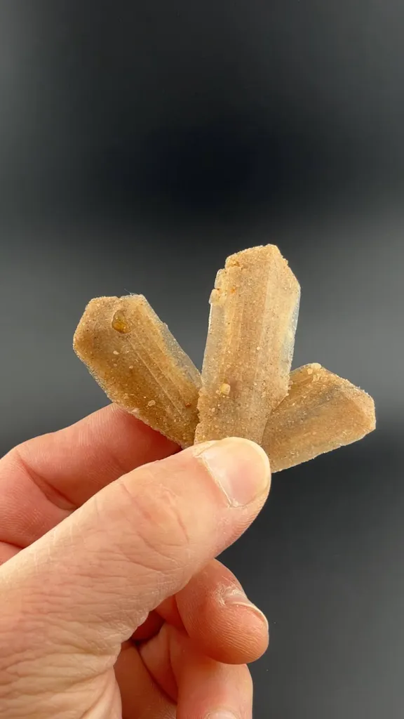 Gypsum image