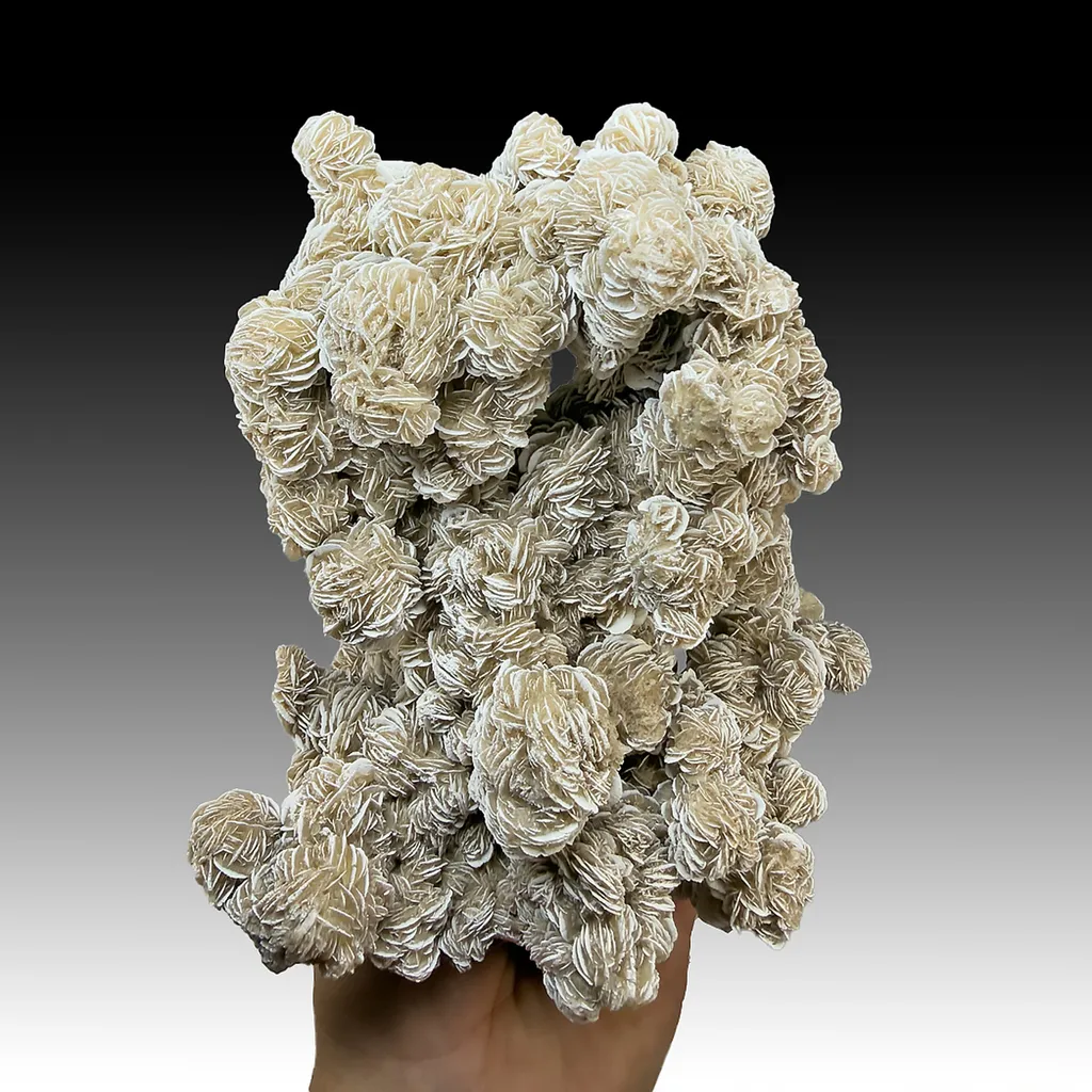 Gypsum image