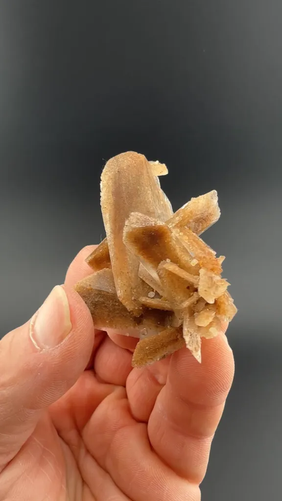 Gypsum image