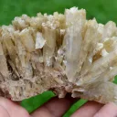 Gypsum 831 grams - Assal Lake, Tadjourah Region, Djibouti - image 6