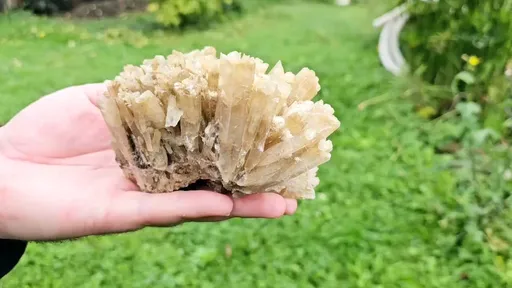 specimen video