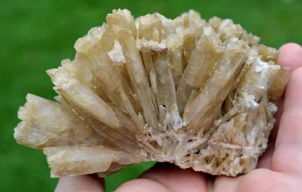 Gypsum 831 grams - Assal Lake, Tadjourah Region, Djibouti image