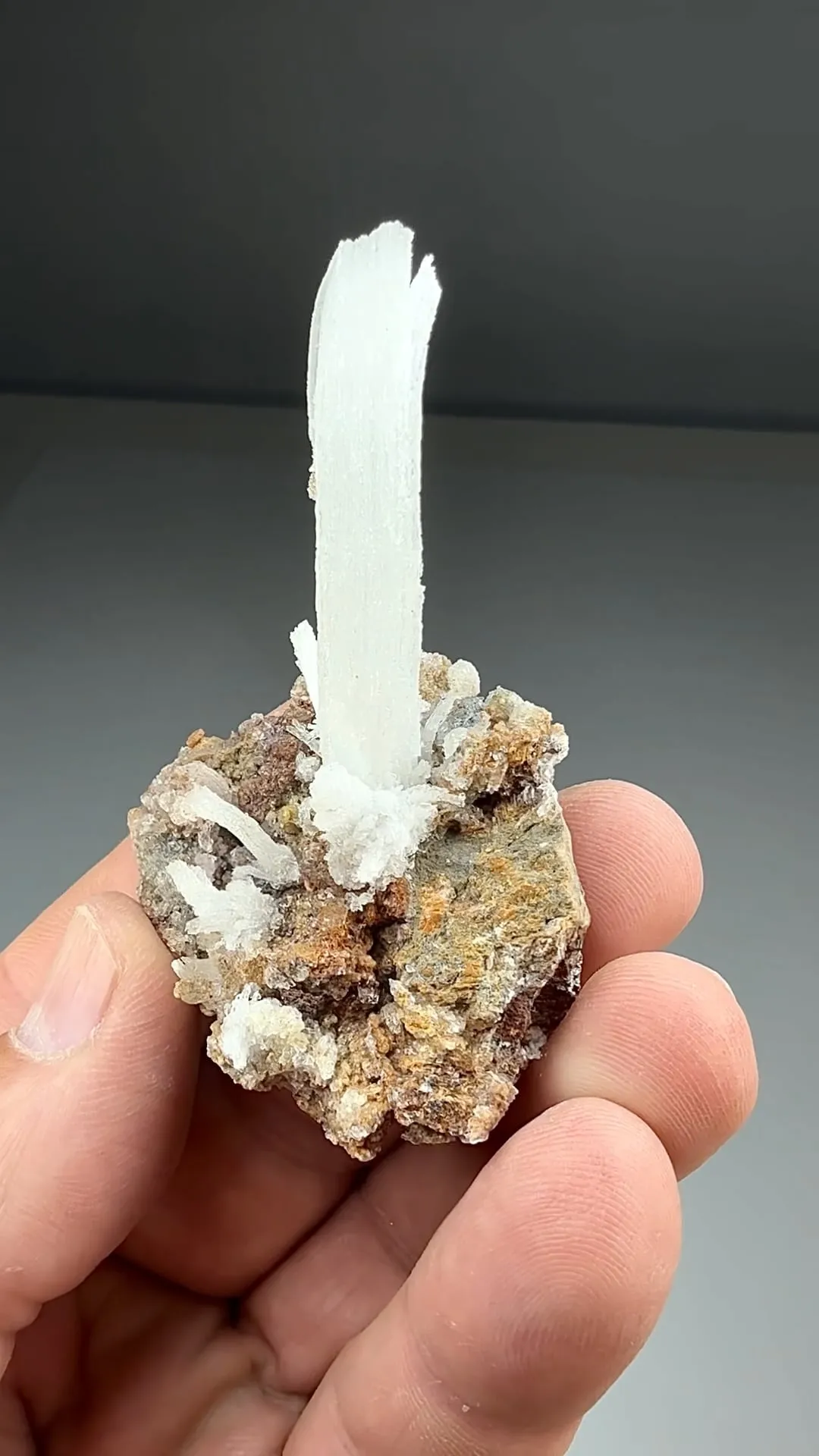 Gypsum (921) - image 2