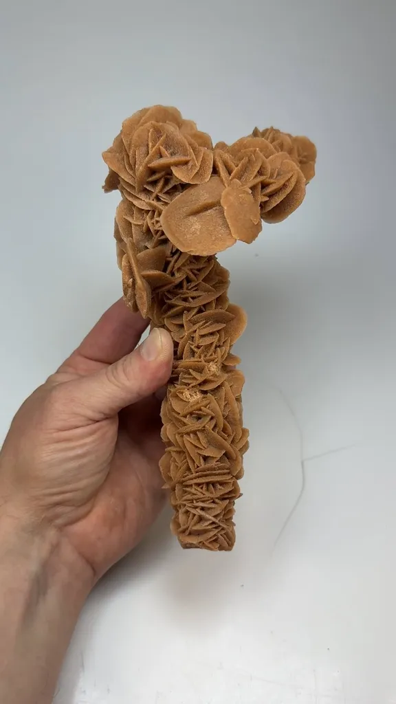 Gypsum image