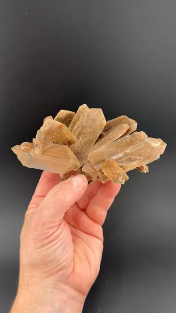 Gypsum