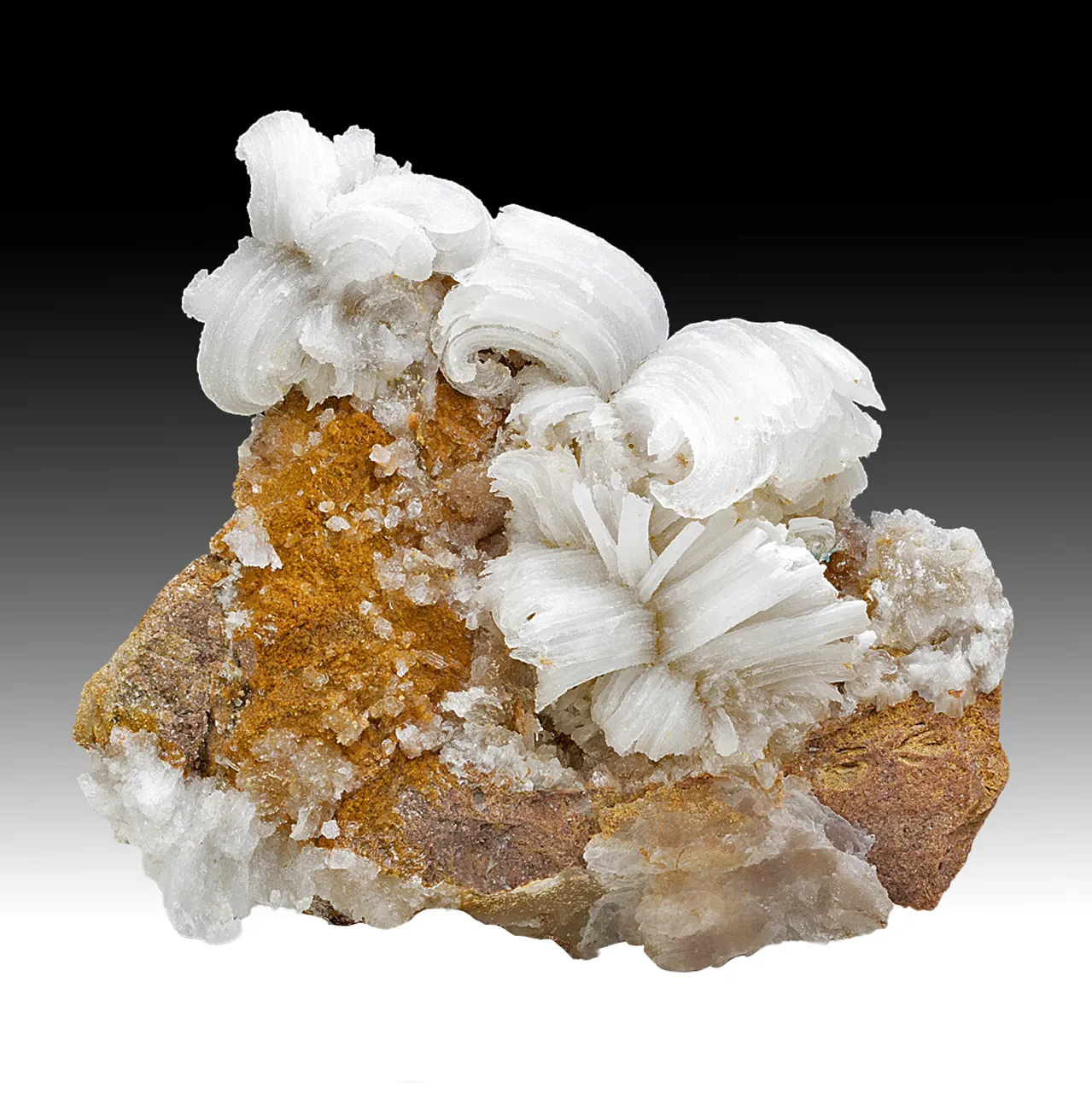 Gypsum - image 1