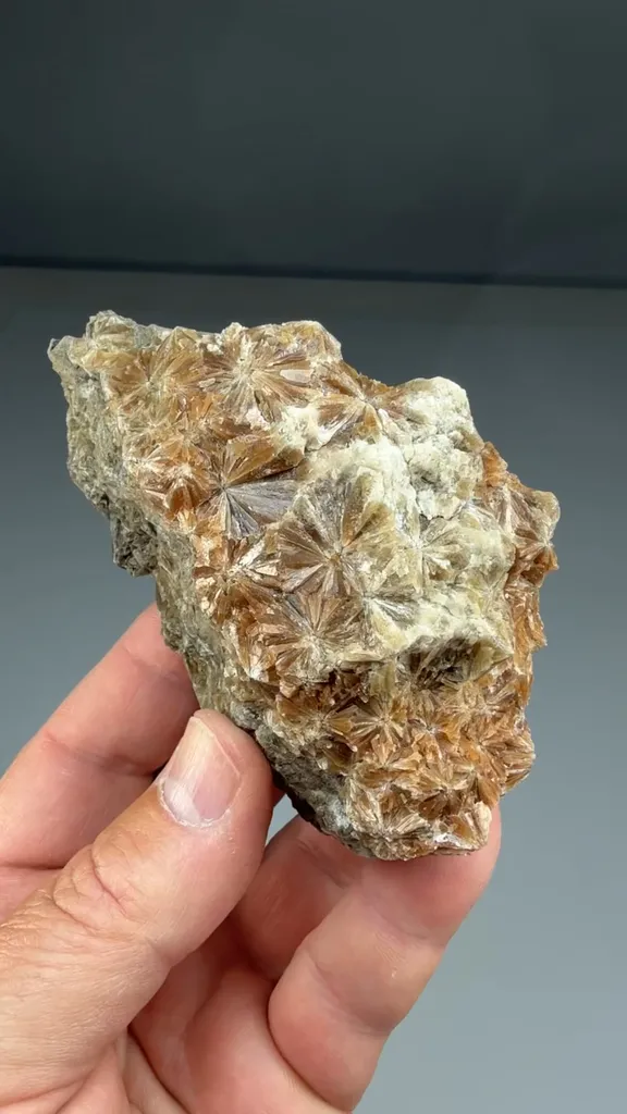 Gypsum - image 2