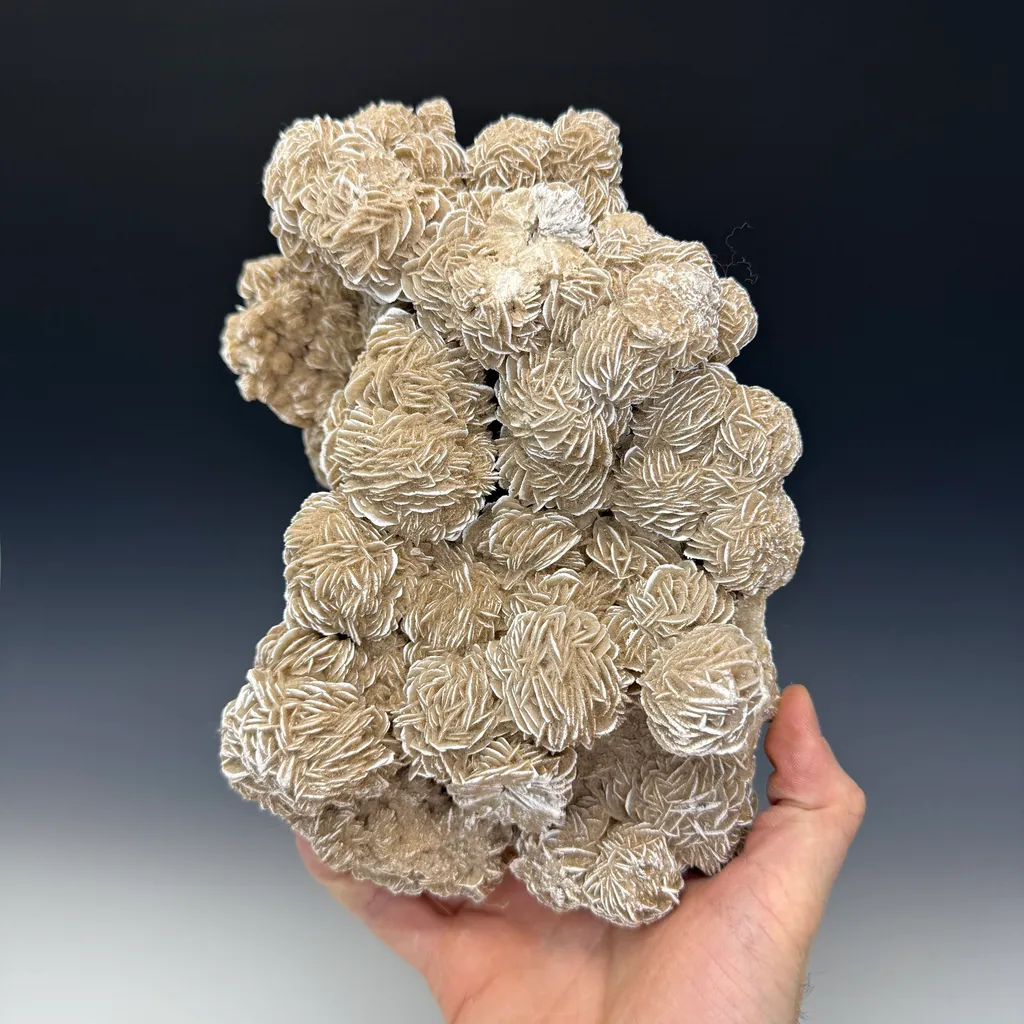 Gypsum image