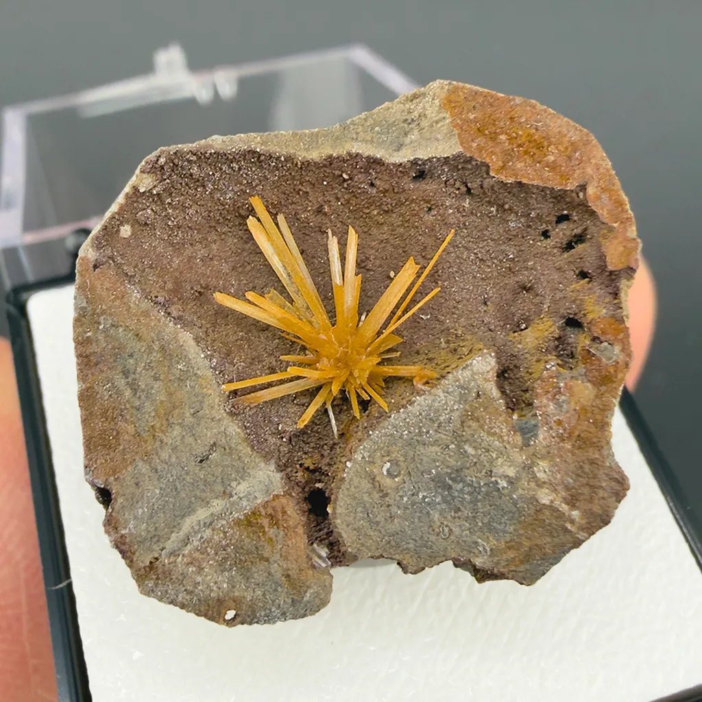Gypsum - image 1
