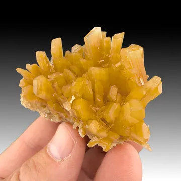 Gypsum