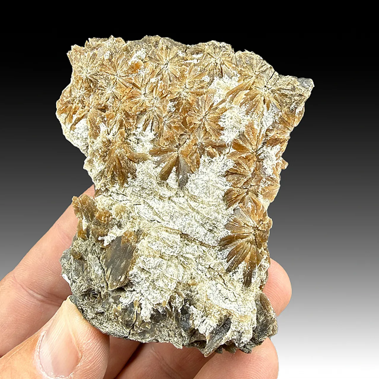 Gypsum - image 1