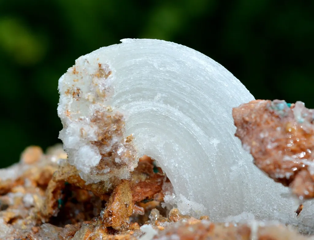 Gypsum "crosse" 1239 grams - Bou Beker, district, Jerada Province, Oriental Region, Morocco - image 4