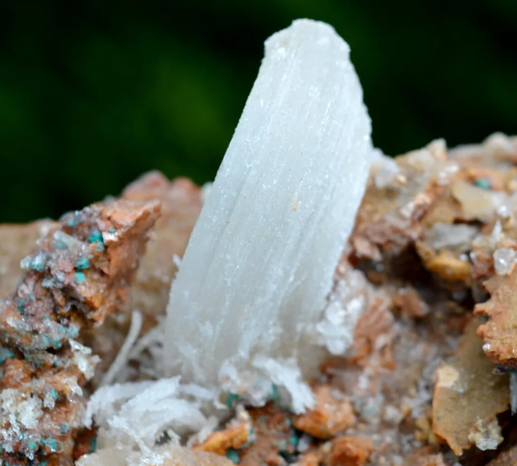 Gypsum "crosse" 1239 grams - Bou Beker, district, Jerada Province, Oriental Region, Morocco - image 3