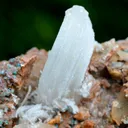 Gypsum "crosse" 1239 grams - Bou Beker, district, Jerada Province, Oriental Region, Morocco - image 3