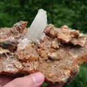 specimen video