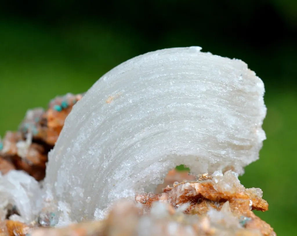 Gypsum "crosse" 1239 grams - Bou Beker, district, Jerada Province, Oriental Region, Morocco - image 6