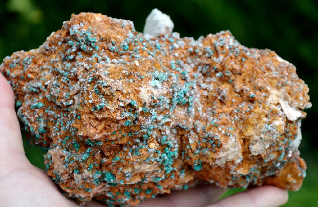 Gypsum "crosse" 1239 grams - Bou Beker, district, Jerada Province, Oriental Region, Morocco - image 7