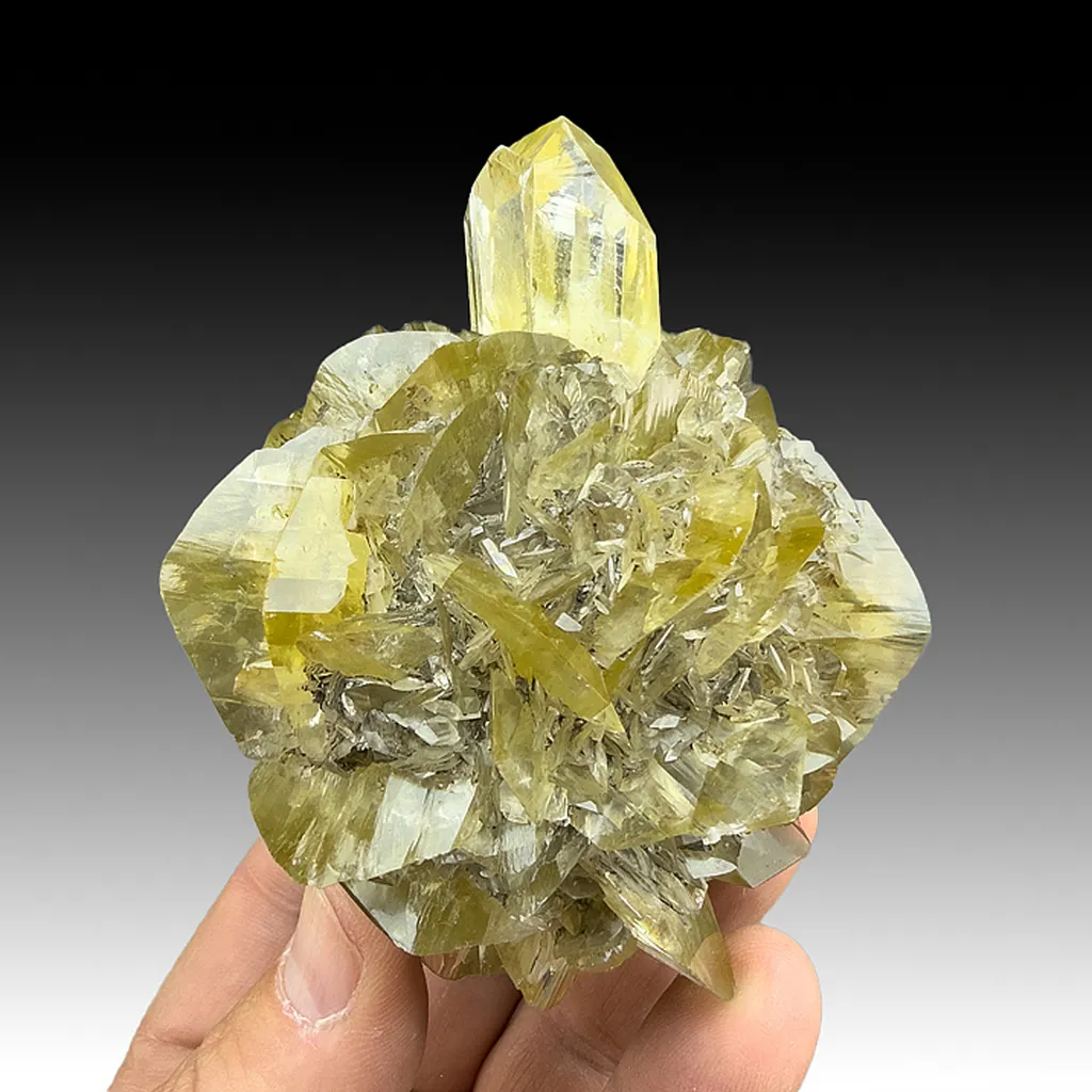 Gypsum image