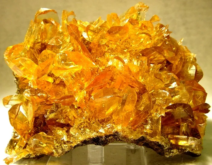Gypsum image