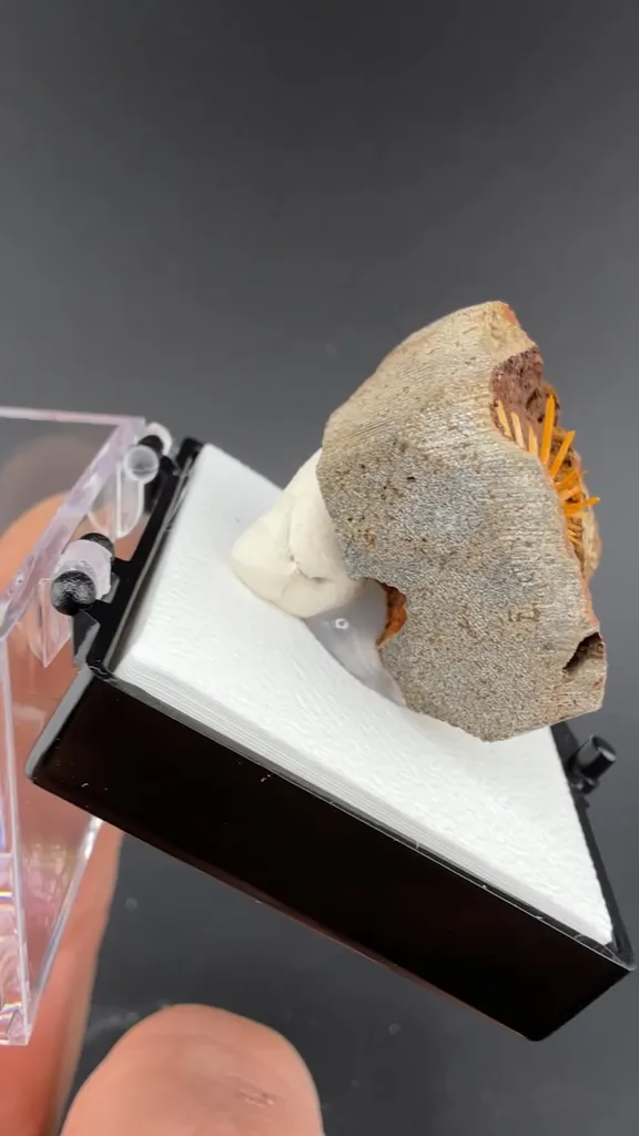 Gypsum