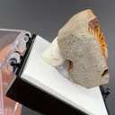 Gypsum - image 2