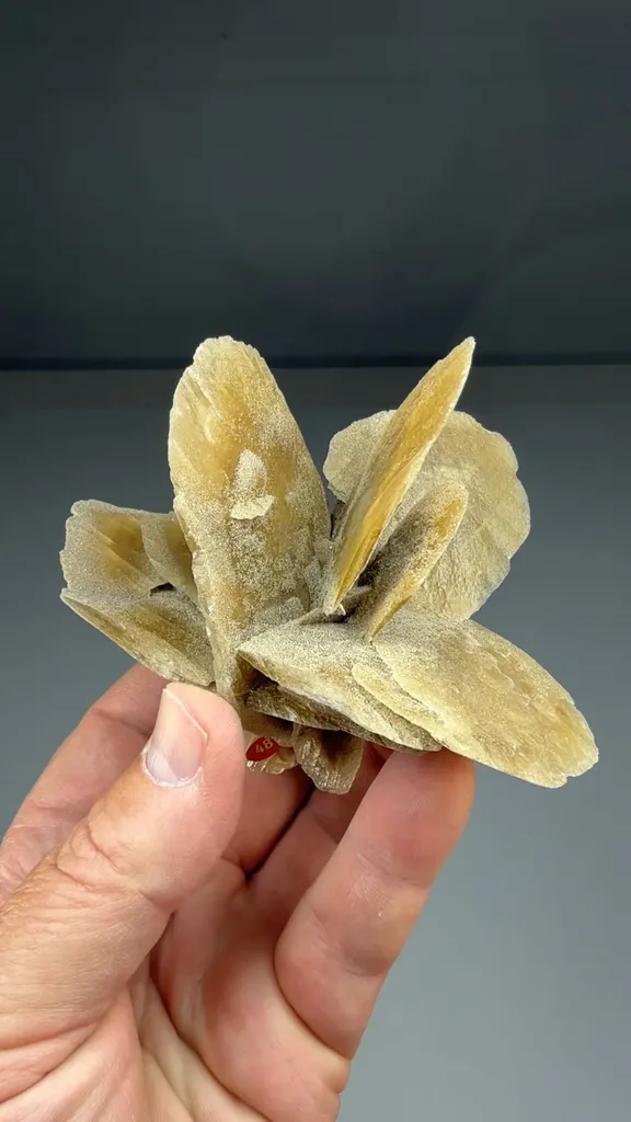 Gypsum - image 2