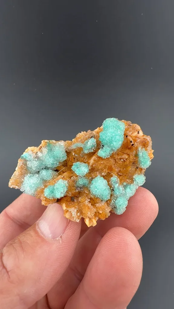 Gypsum from Bou Beker, Oriental Region, Morocco - image 2