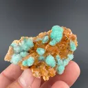 Gypsum from Bou Beker, Oriental Region, Morocco - image 2