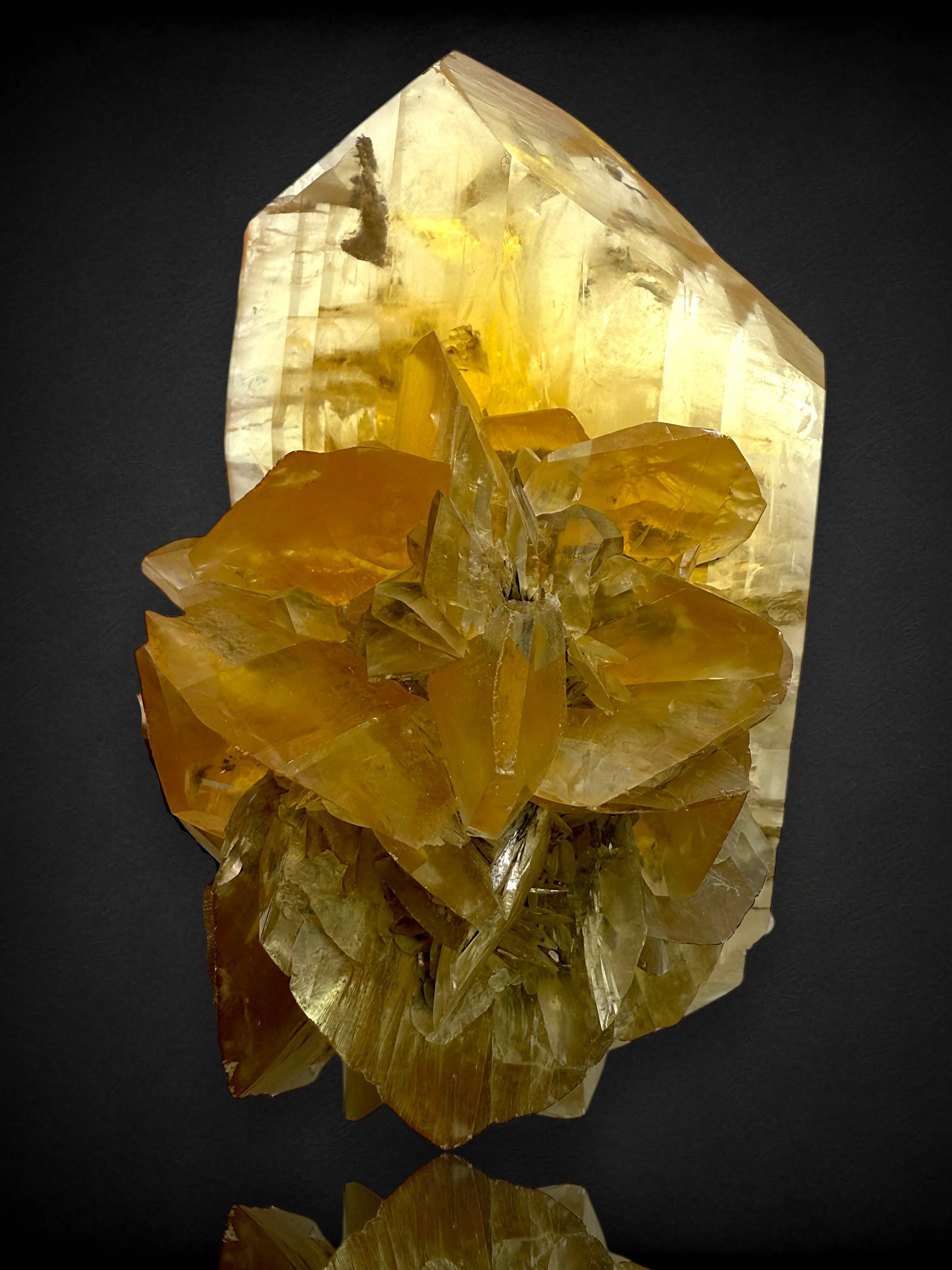 Gypsum from Canada, Manitoba, Winnipeg Metro Region, Winnipeg, Red River Floodway - image 4