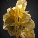 Gypsum from Canada, Manitoba, Winnipeg Metro Region, Winnipeg, Red River Floodway - image 1