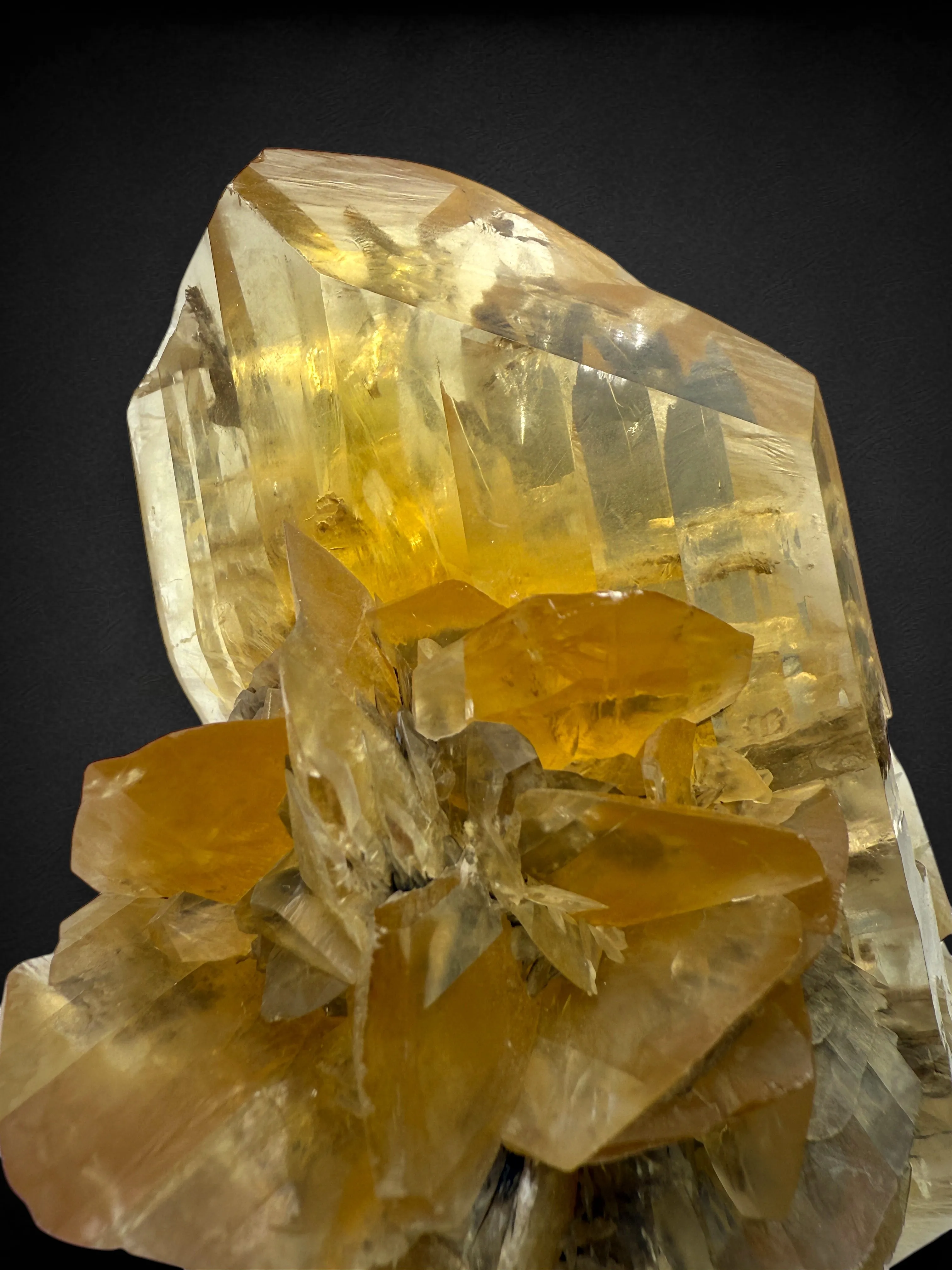 Gypsum from Canada, Manitoba, Winnipeg Metro Region, Winnipeg, Red River Floodway - image 3