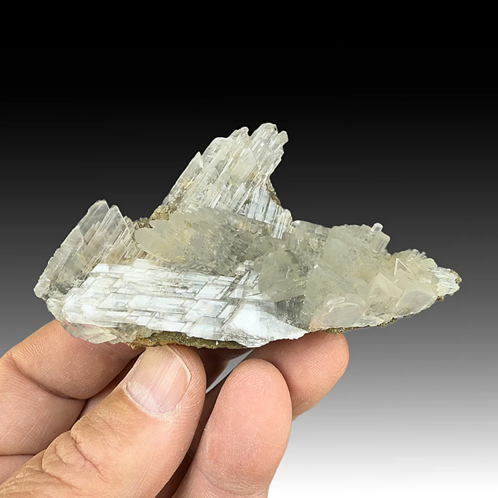 Gypsum from Naica, Chihuahua, Mexico image